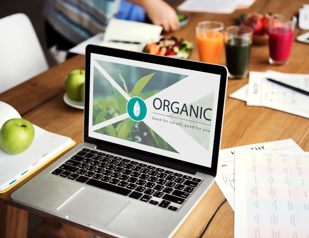 2025 Sustainable Web Design Trend Digital Design to Know