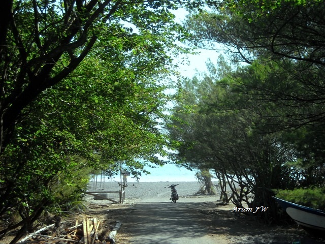 perpaduan yang puitis: pepohonan dan pantai :)