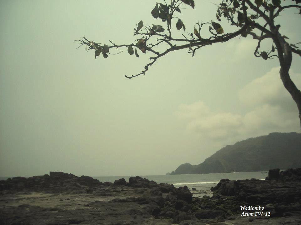 Pantai Wediombo