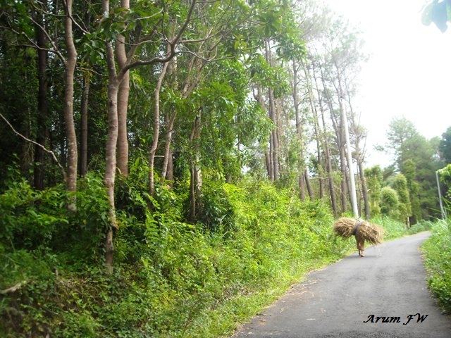 Sekitar Imogiri Jogja