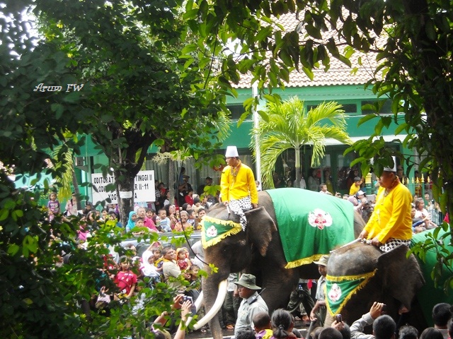 gajah dalam upacara ini adaah sebagai pegawal iring-iringan gunungan