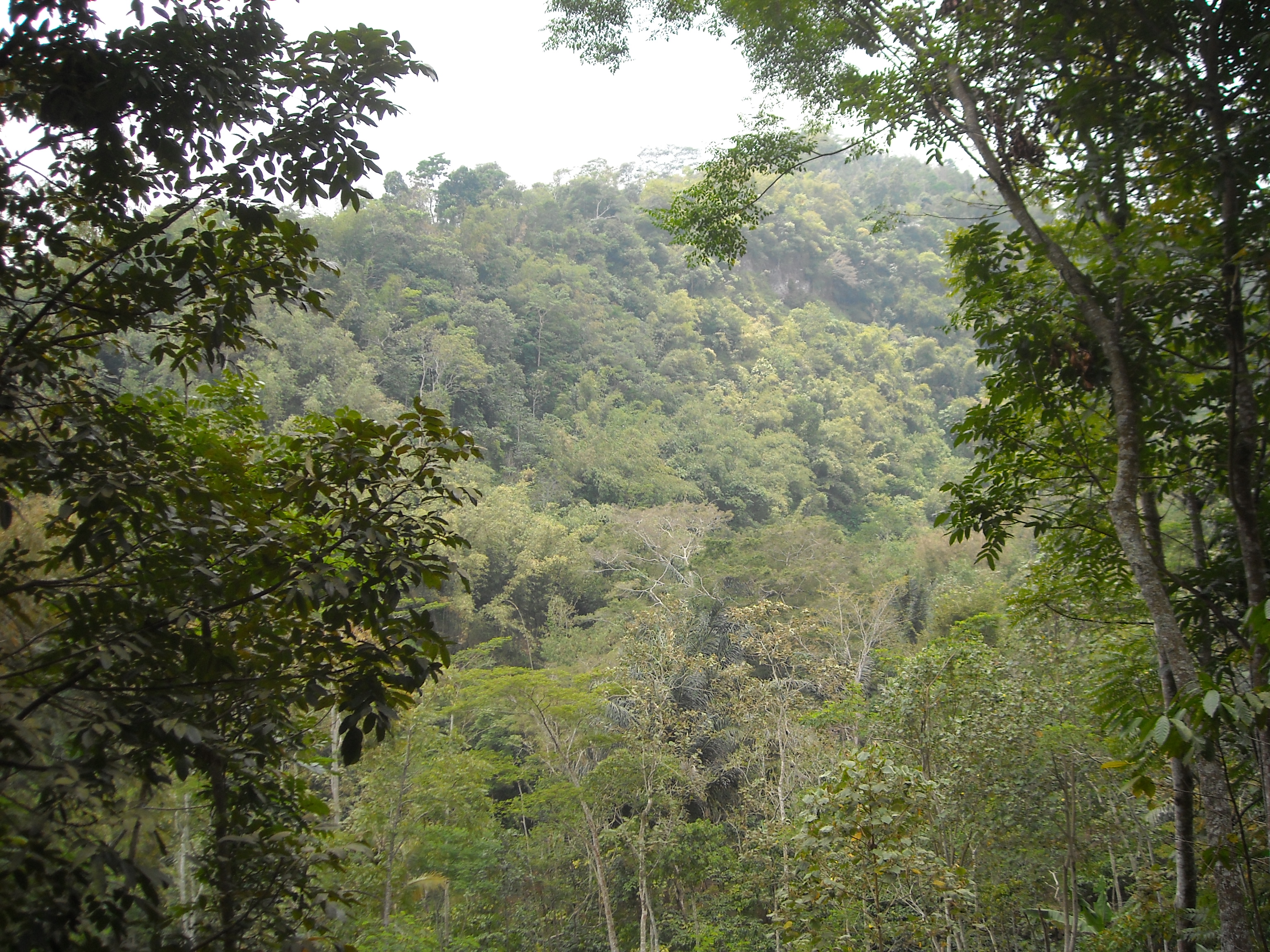 Sekitar air terjun Sekar Langit