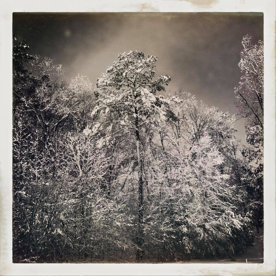 Courtesy of Becca Duffer