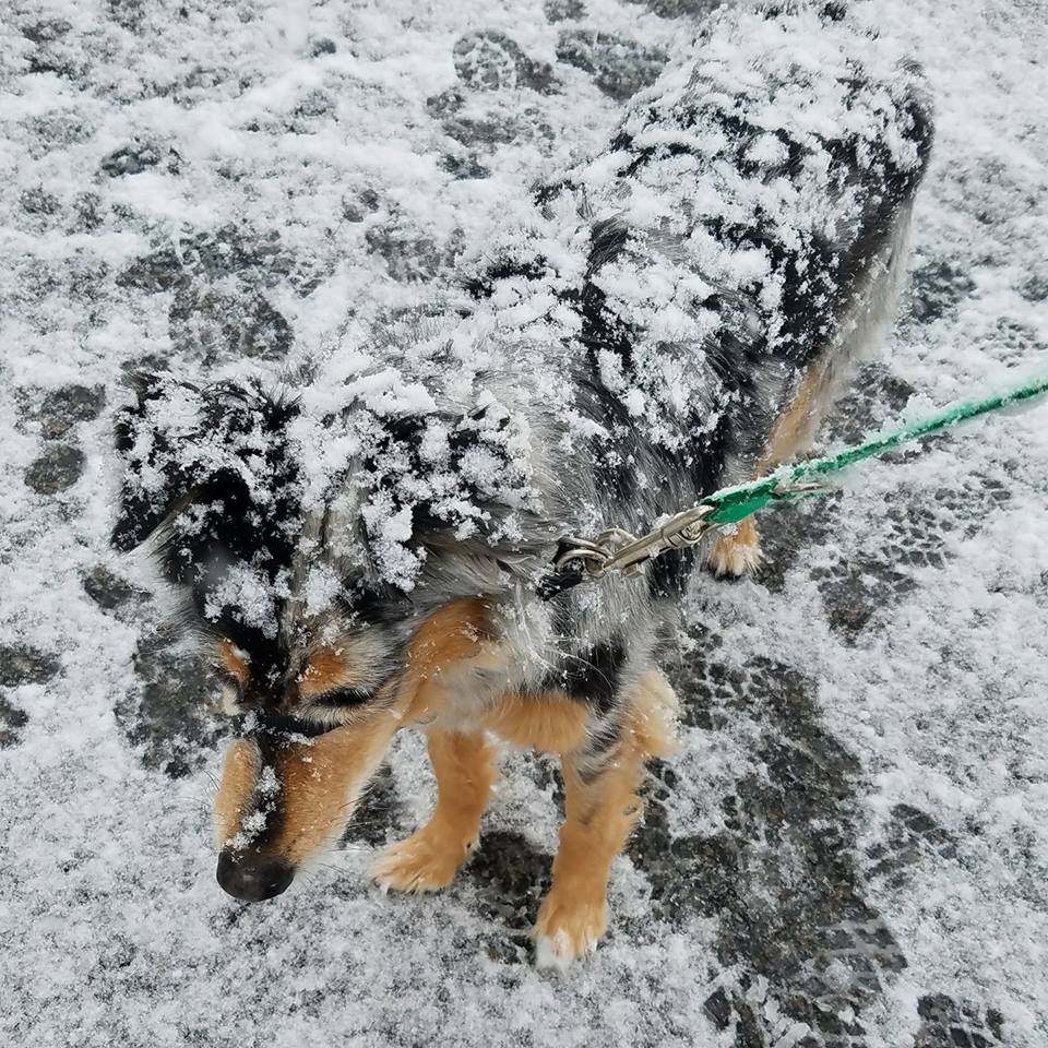 Courtesy of Colleen Schultz