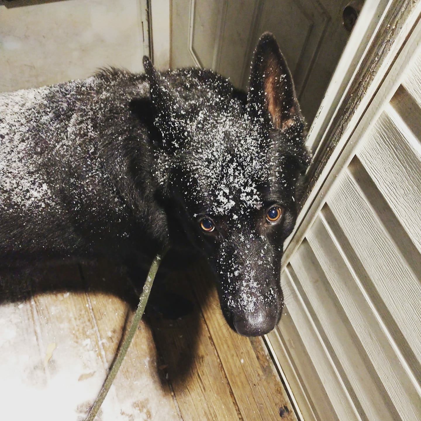 Courtesy of Charles Sifter