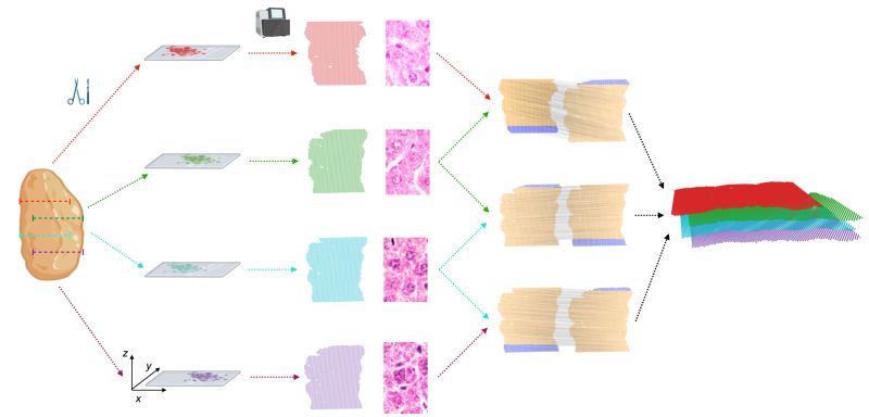 Paste3 Paste Github - Download Incredible Colorful Texture | Mobile