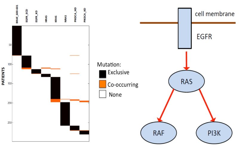 Releases Raphael Group Hotnet2 Github - Premium Gradient Photo Gallery - Retina
