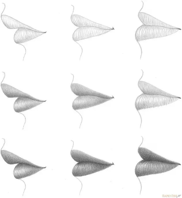 images How To Draw A Lip Bite Simple how to draw lips from the side