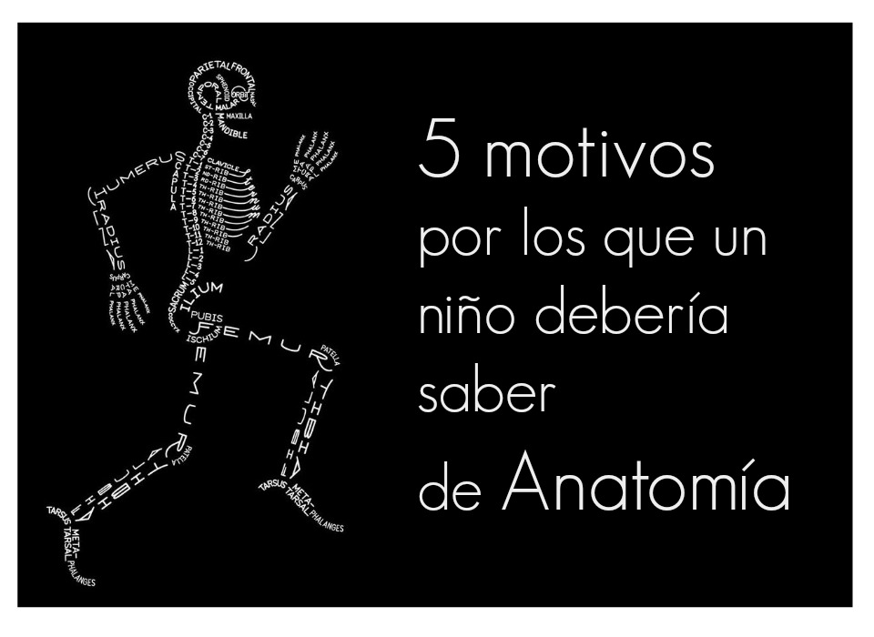 5 motivos por los que un niño debería saber de Anatomía