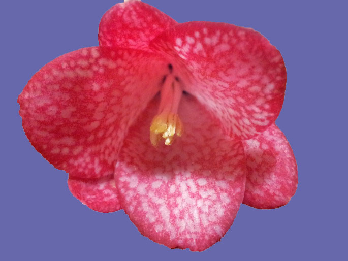20140215_215709