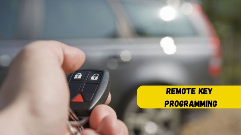 Auto Programming - Premium Nature Texture Gallery - Retina