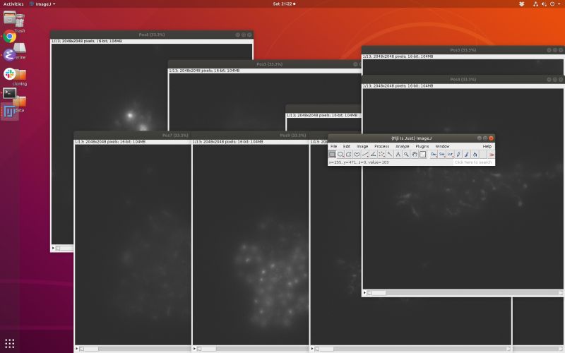 Data Viewing Parameters In Imagej Download Scientific Diagram - Beautiful Landscape Wallpaper - 4K