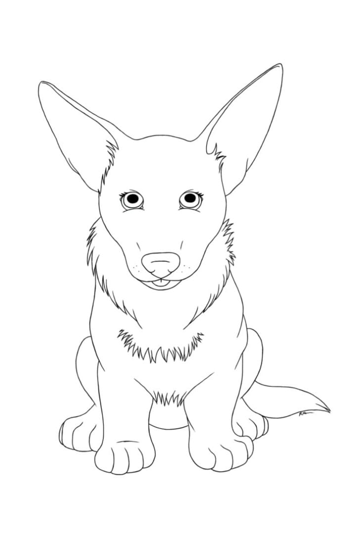 Disappearance of six dutch and british ships sunk in 1942 sparked international … Corgi Coloring Pages