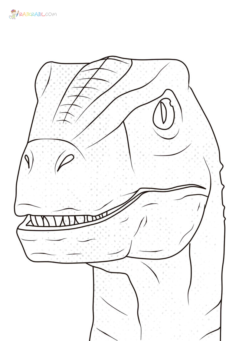 ✓ freie kommerzielle nutzung ✓ keine namensnennung ✓ top qualität. Ausmalbilder Dinosaurier