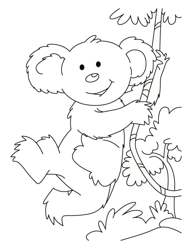 koala coloring pages 100 pictures free printable
