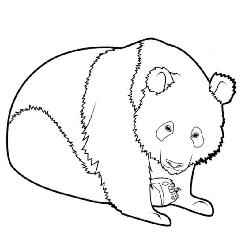 Panda bear coloring pages printable. Panda Coloring Pages 100 Pictures Free Printable