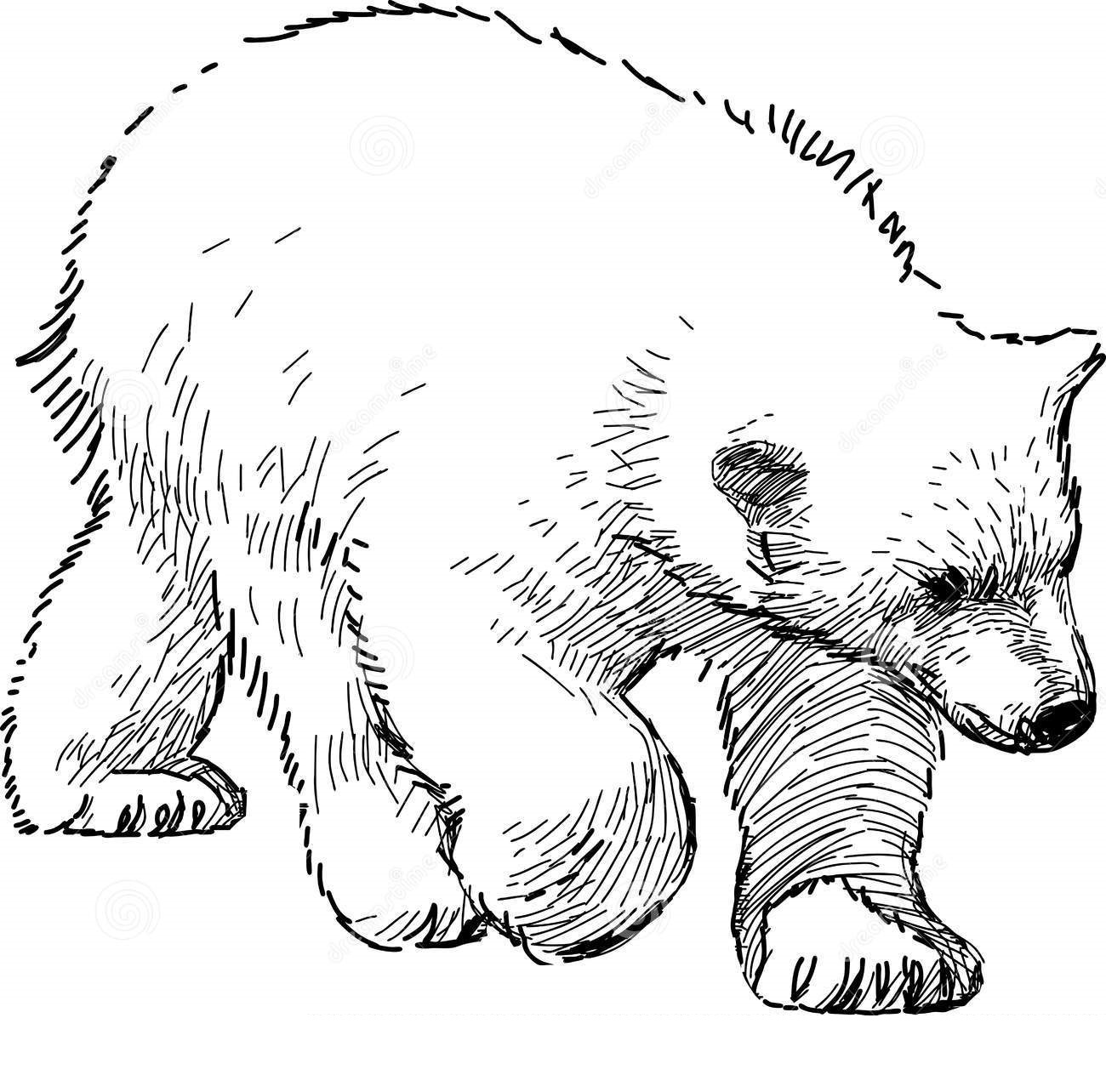 wallpapers Disegni Di Orsi disegni di orsi polari da colorare 80 immagini per la stampa gratuita