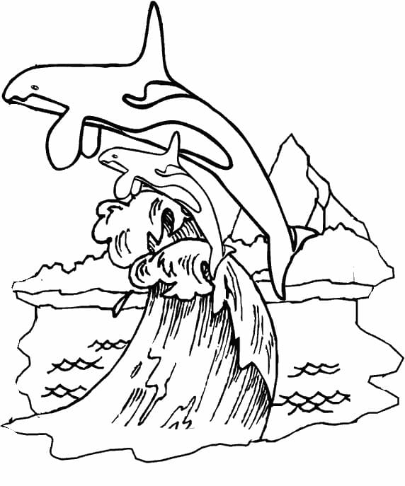 You can print or download them to color and offer them to your family and friends. Whale Coloring Pages 100 Pictures Free Printable