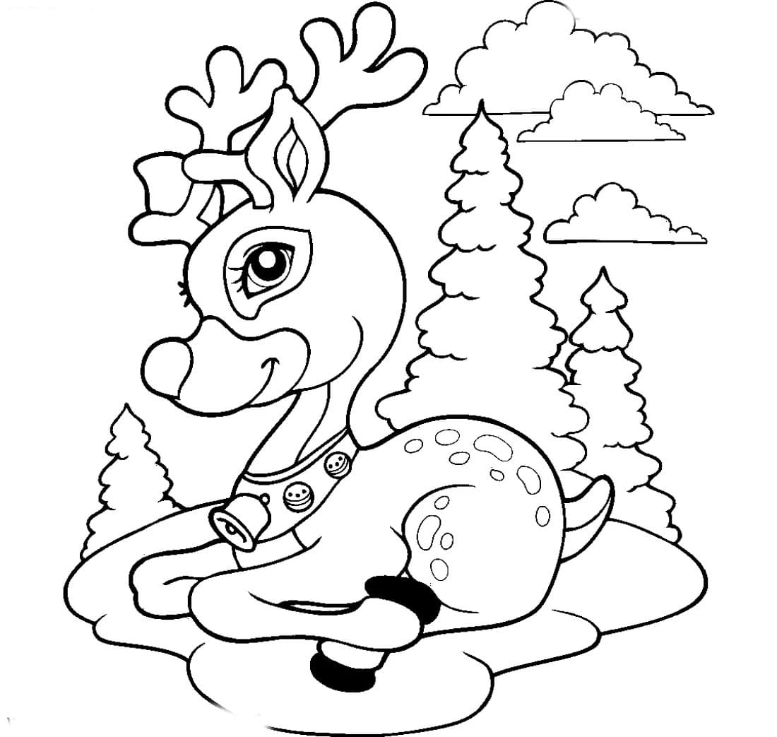 Malvorlage Wald Kostenlose Ausmalbilder