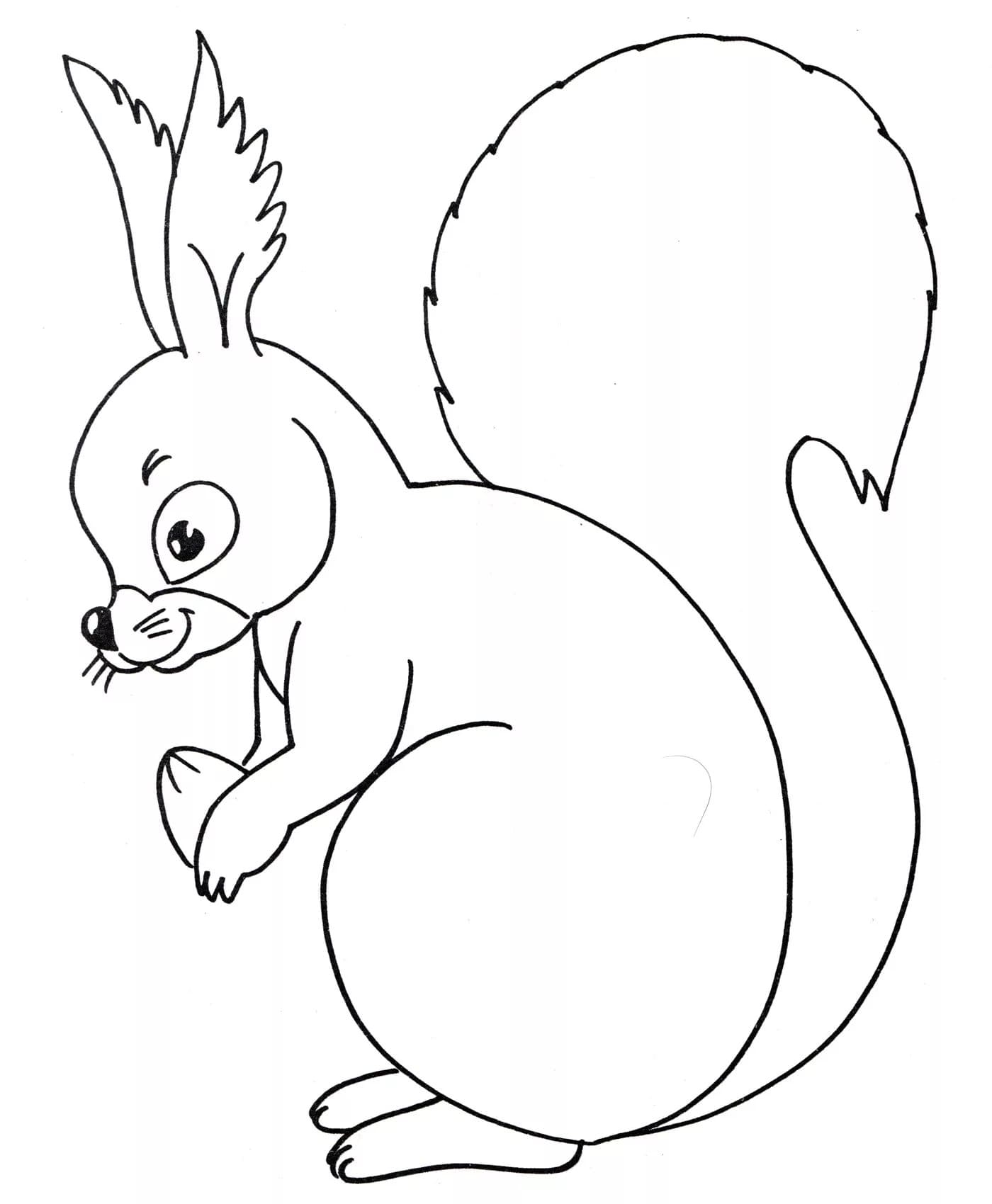 Eichhornchen 2 Ausmalbild