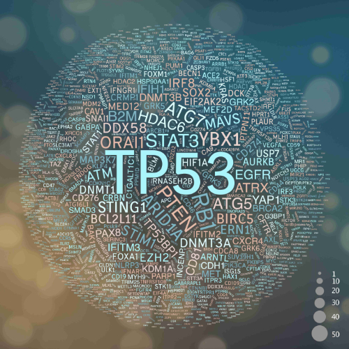 Cnh Tp53 Github - Best Abstract Wallpapers in HD