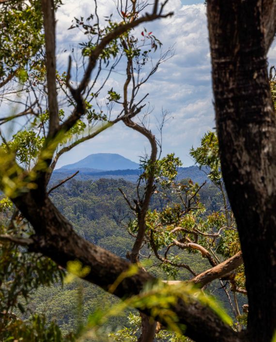 Team Building Activities Raspberry Fields Central Coast - Best Minimal Textures in Full HD