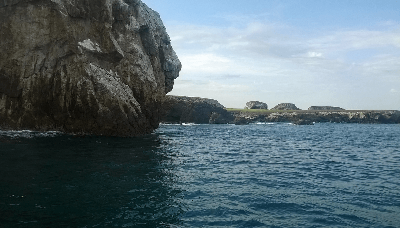 marietas-1-1