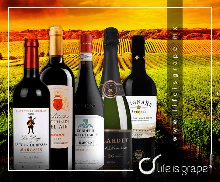 editorial-life-botellas