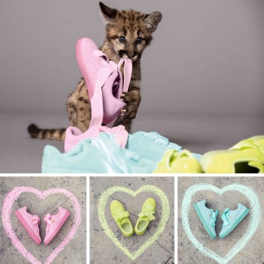 puma de agujeta gruesa