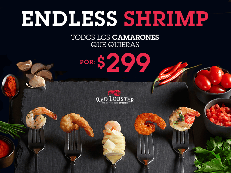 endless_shrimp_2018