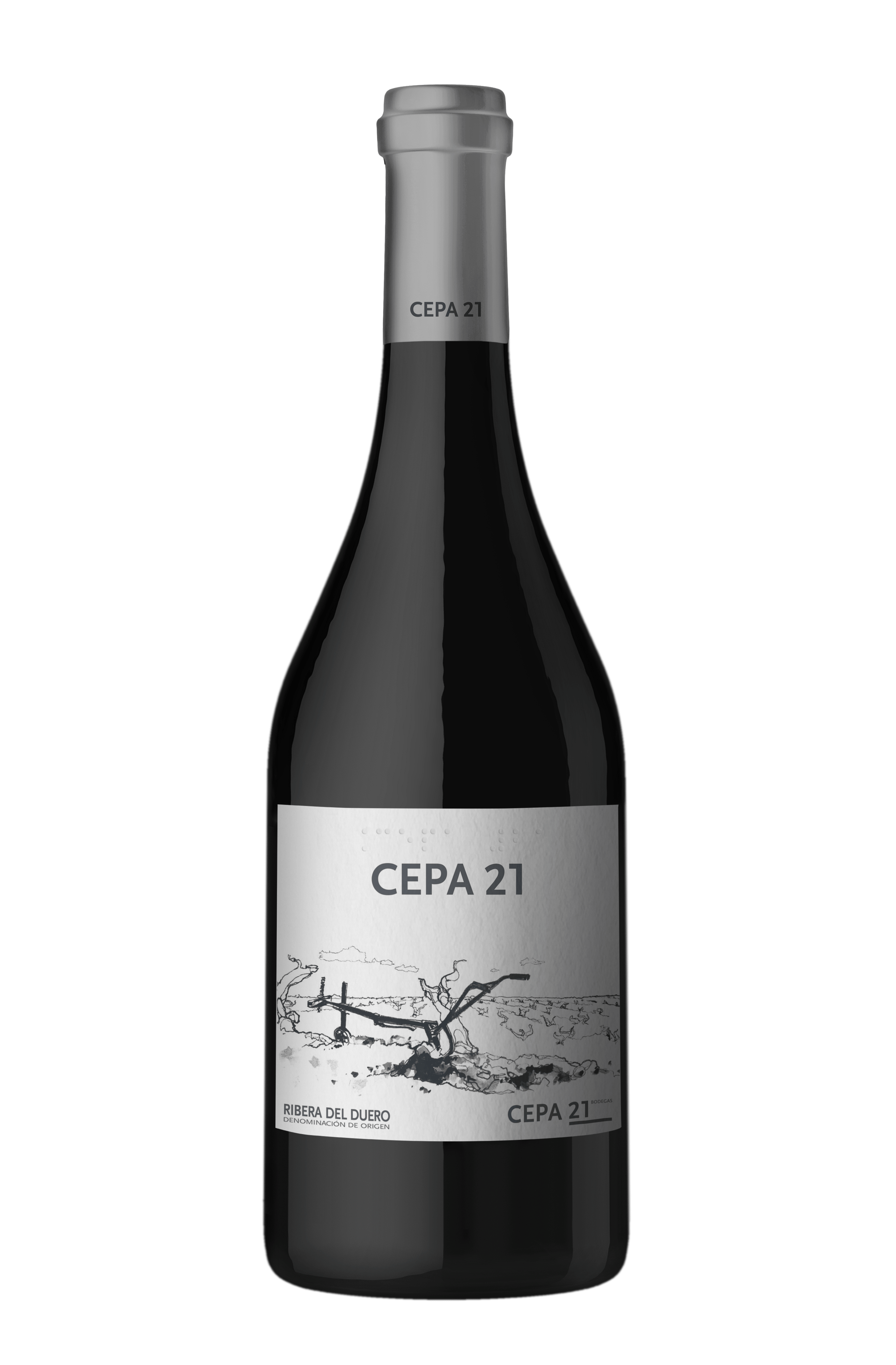 CEPA21_2015_SA