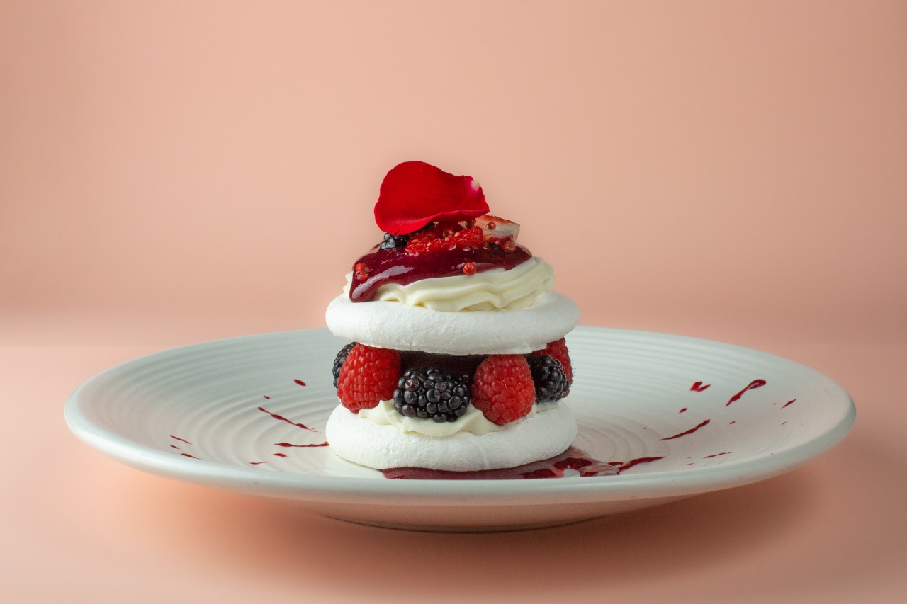 Pavlova Testal 2