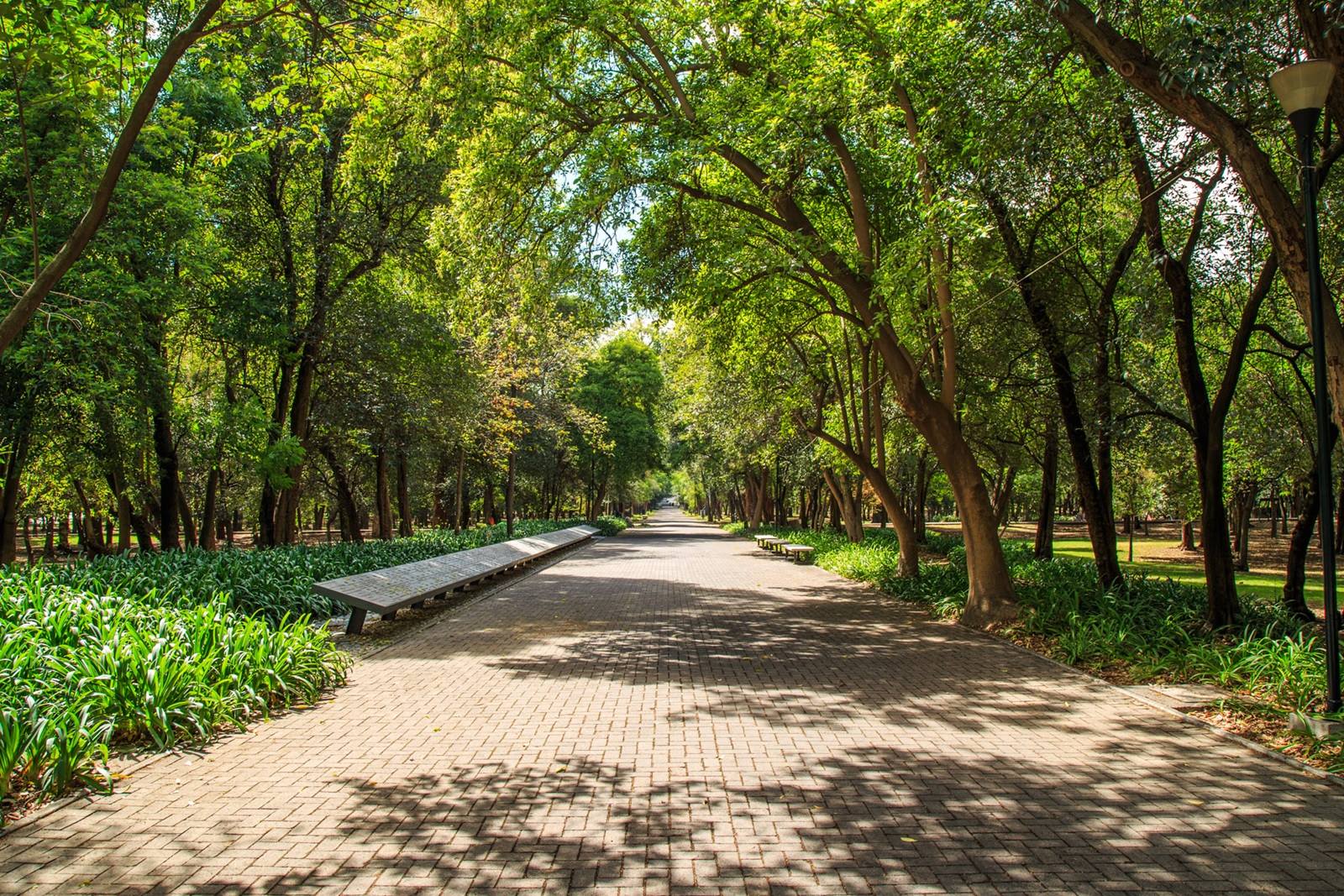 Cortesía, Bosque de Chapultepec