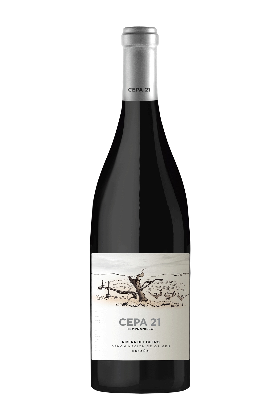 04-CEPA21_SA_EXP