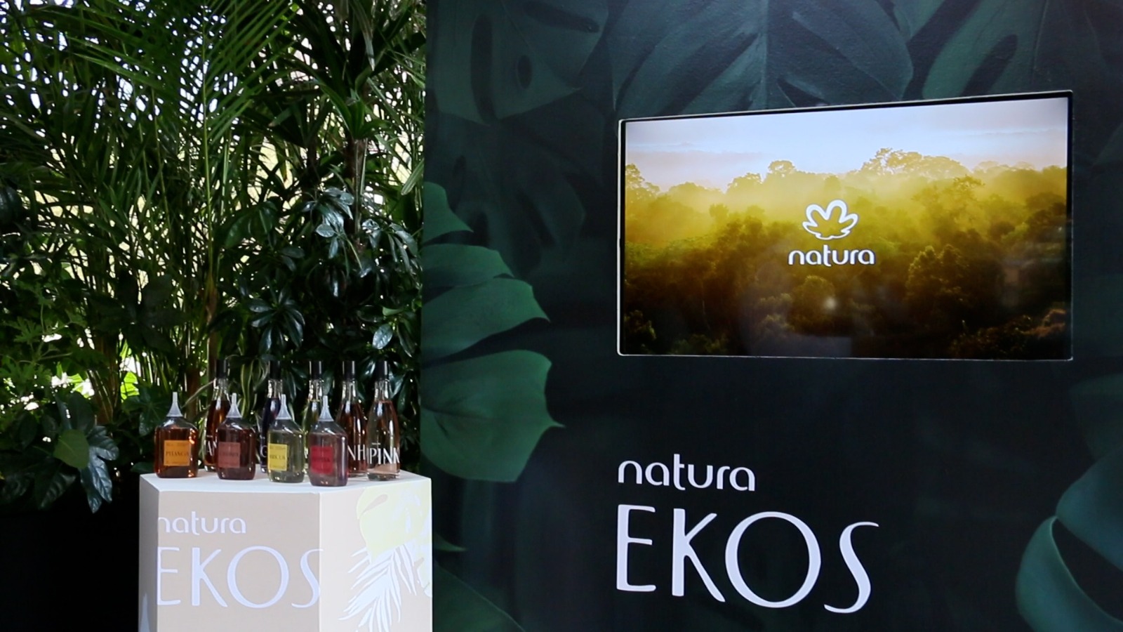 Ekos3