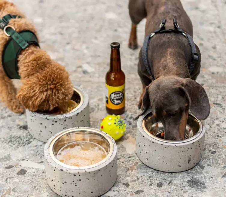 wooftop-hero-image-752x656