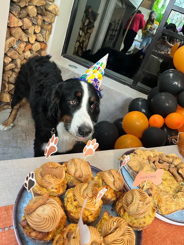 Cumpleaños Pancho (6)