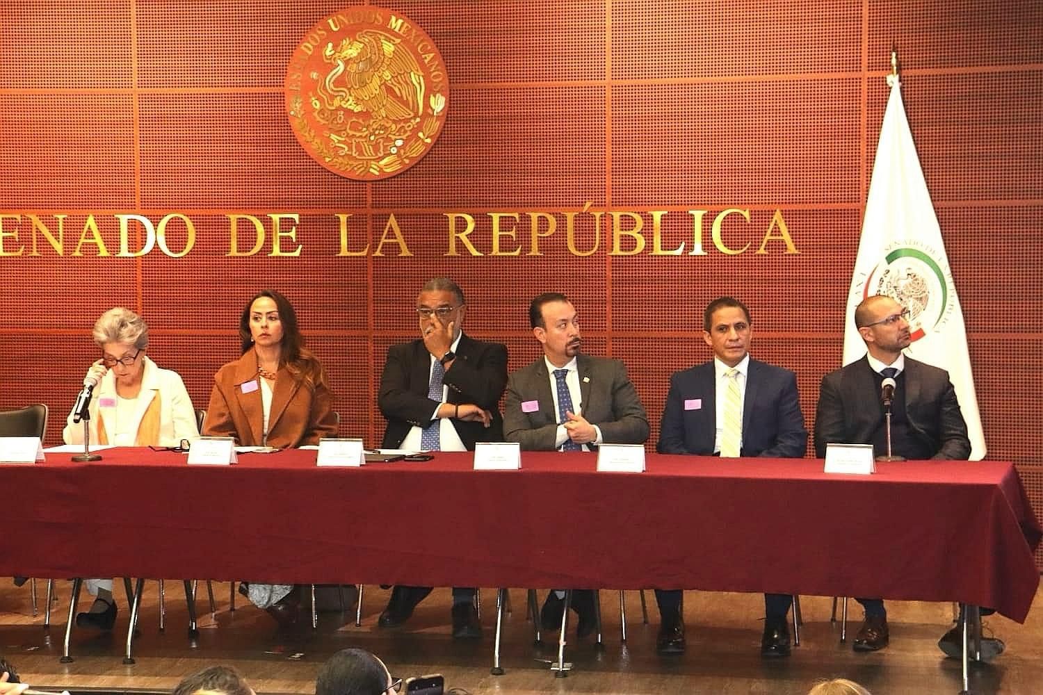 senado de la republica (2)