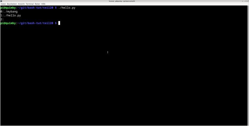 usführung von hello.py mit dem eigenen Shebang