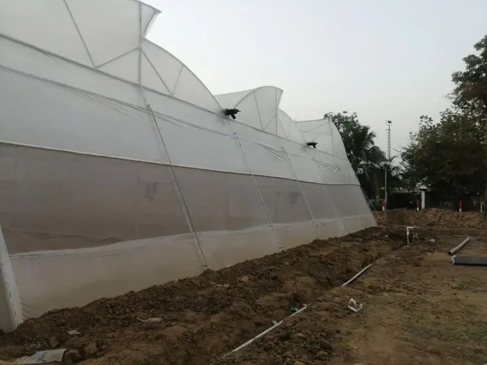 POLYHOUSE1 copy