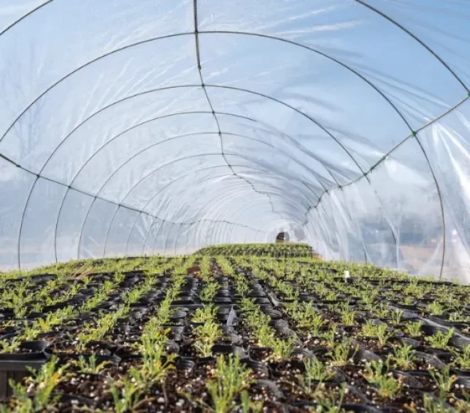 Greenhouse Construction