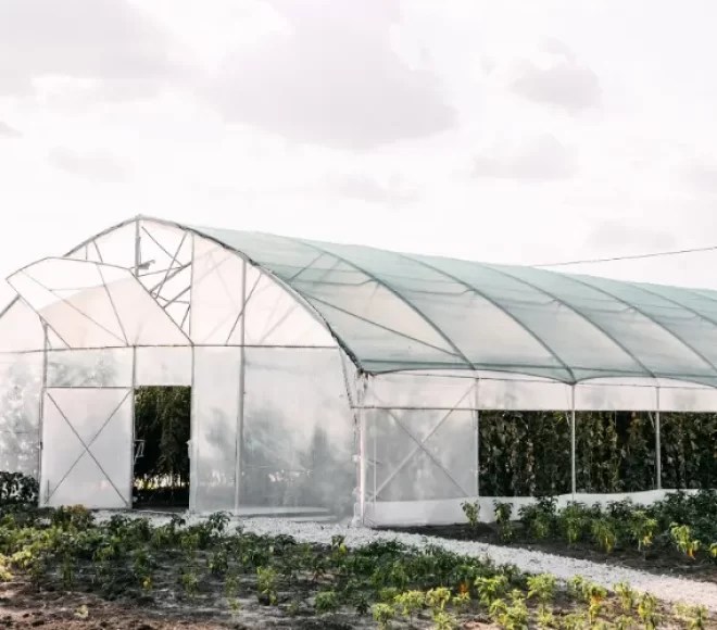 Greenhouse Construction
