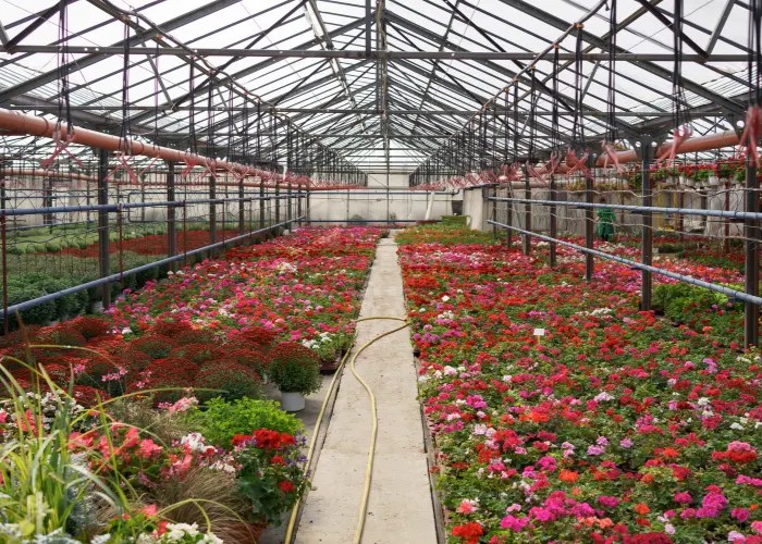 Greenhouse Construction