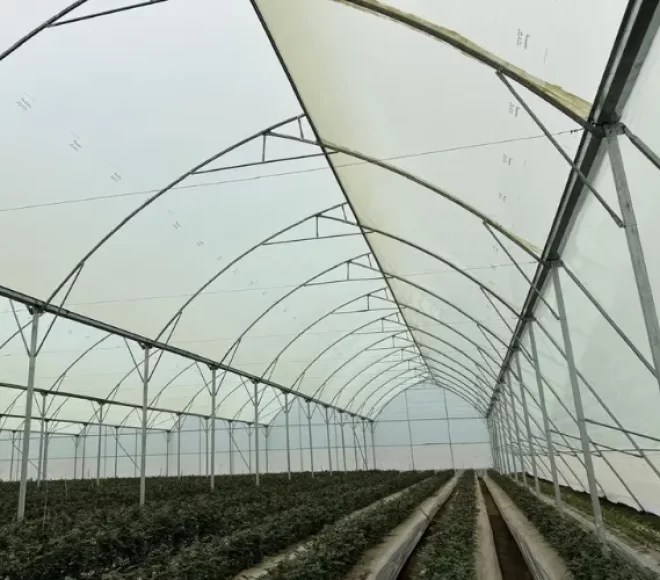 Greenhouse Construction