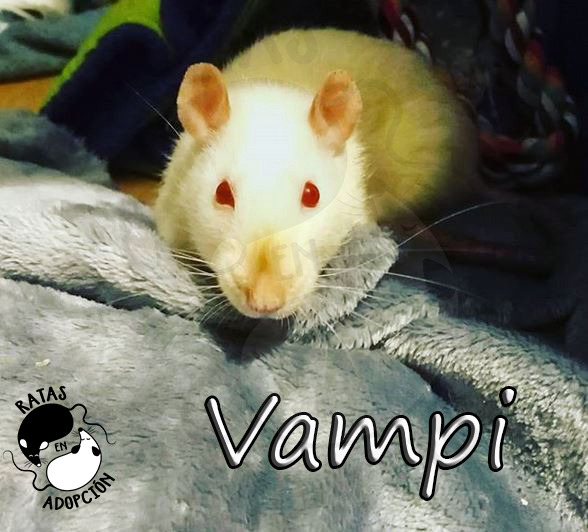 Vampi