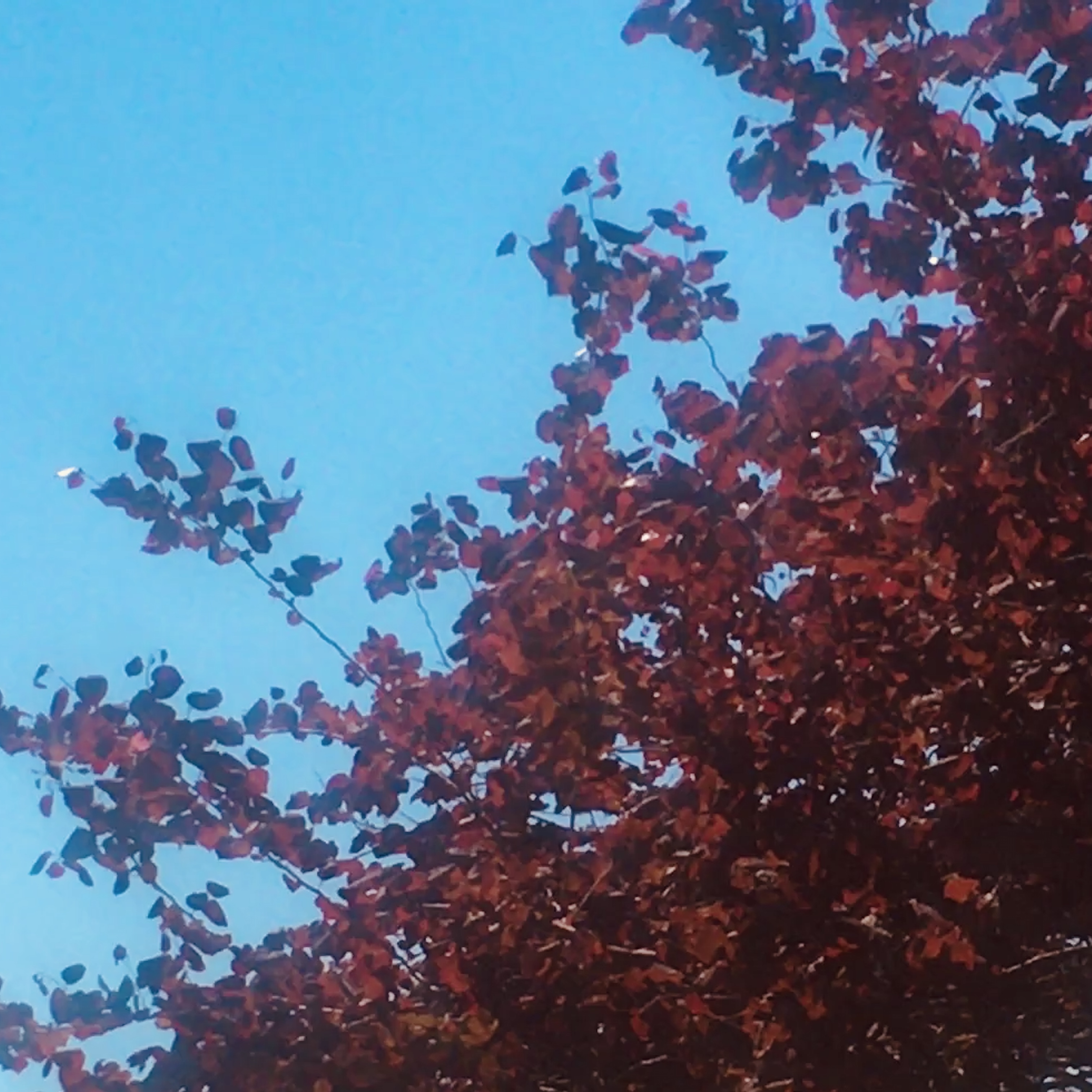 Read more about the article Eli Kirk Reminisces On Love In “Dean”