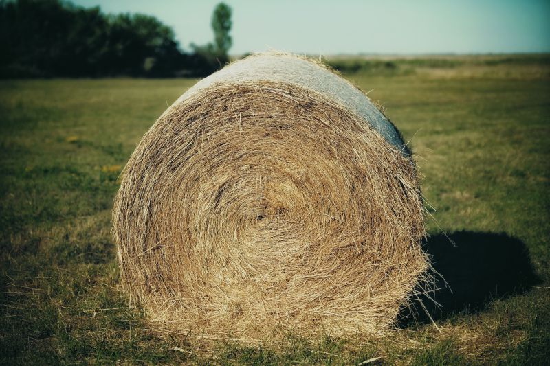 Needles and haystacks