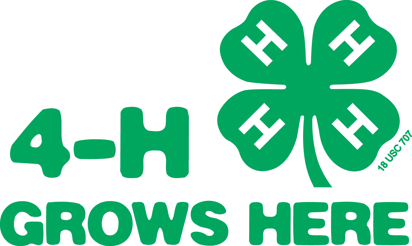 4-H