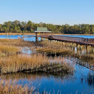 Marsh A gorgeous coastal South Carolina marsh