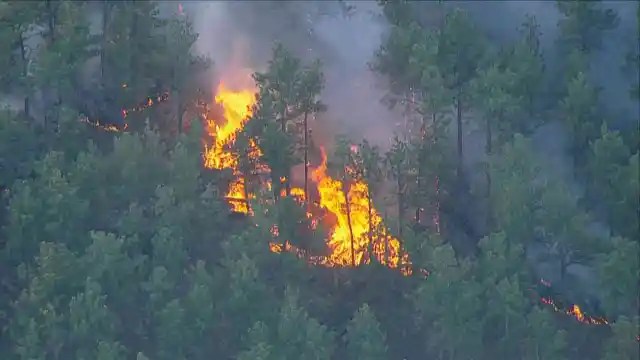 "Rapidly Growing Alexander Mountain Fire Forces Evacuations in Northern Colorado"